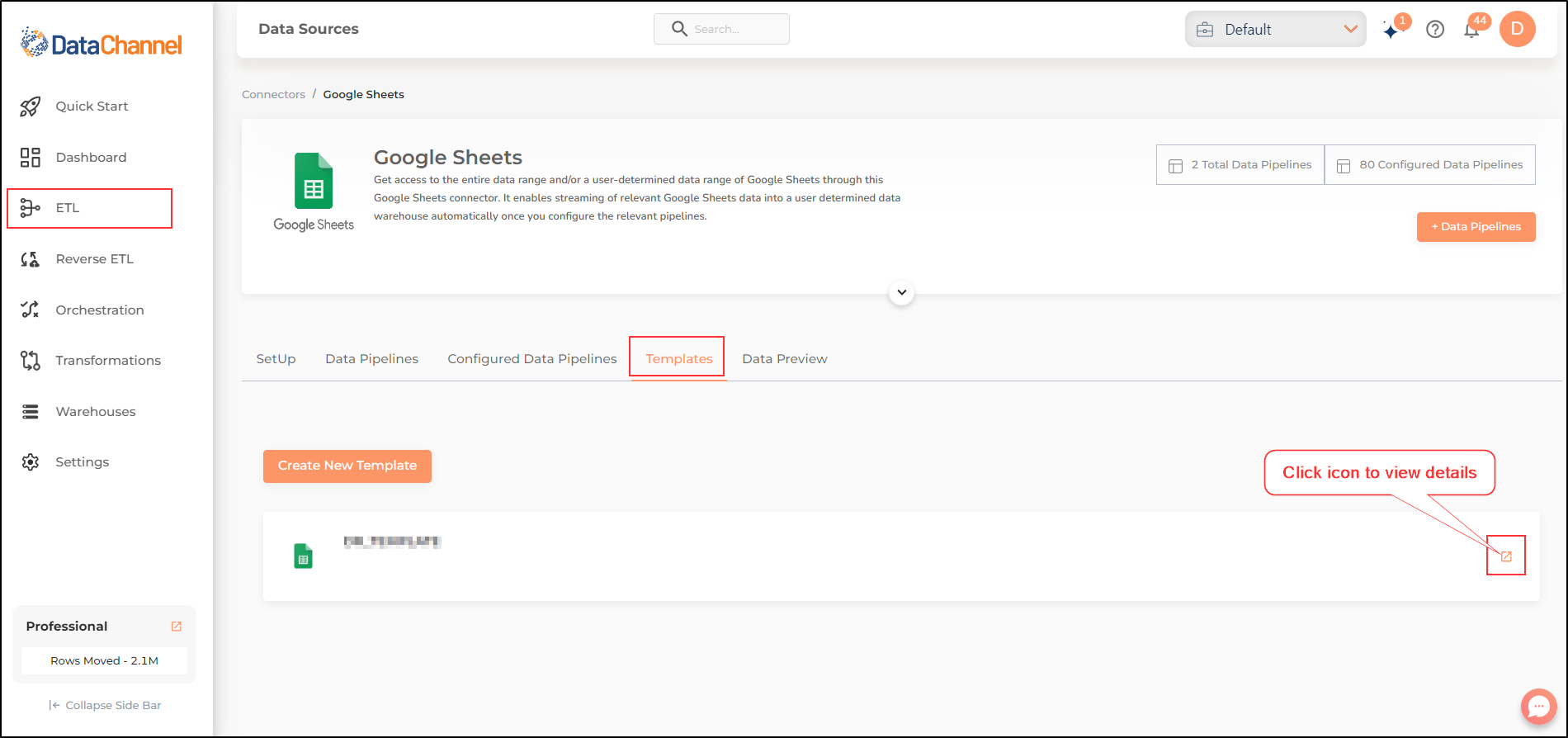 data source viewing templates