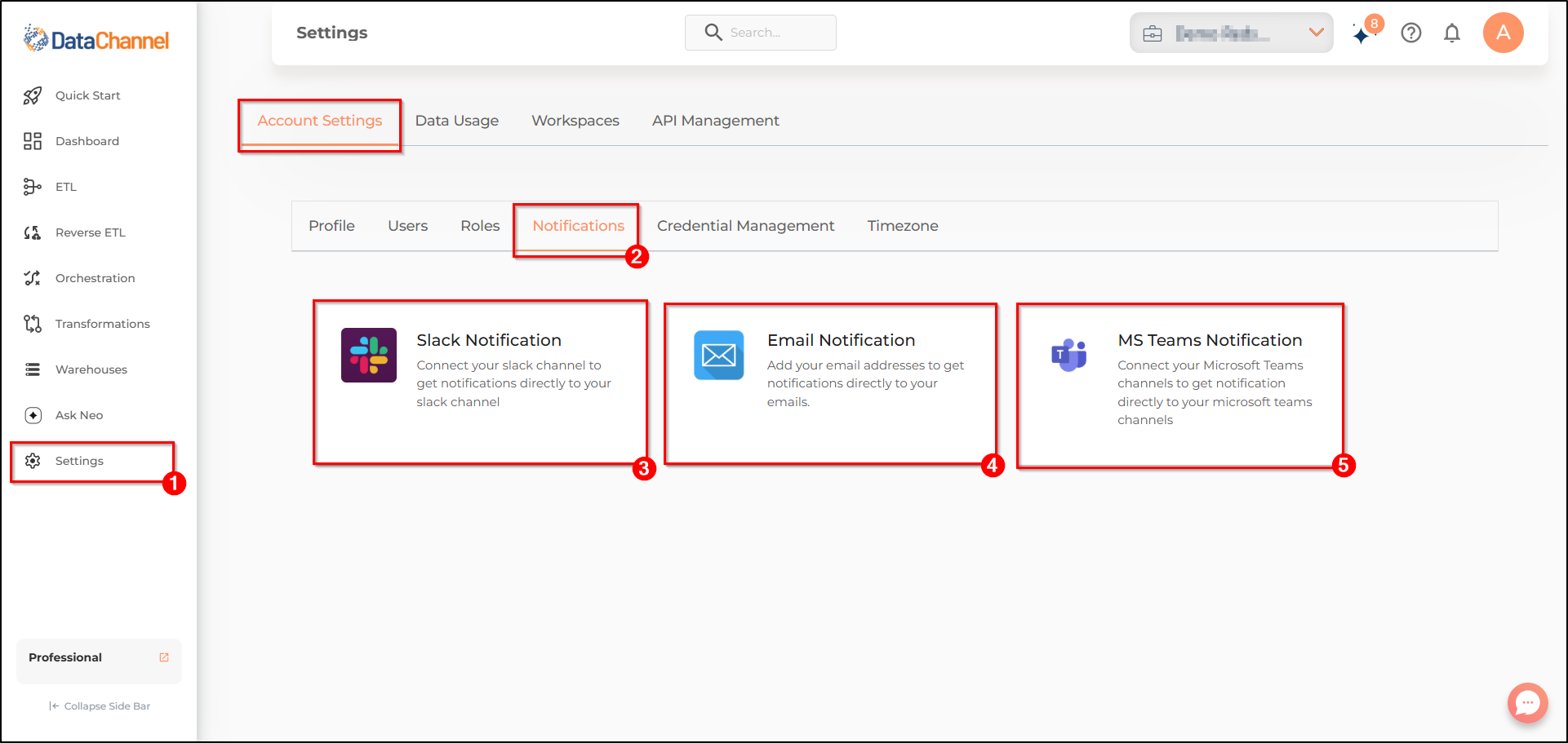 settings page notifications tab