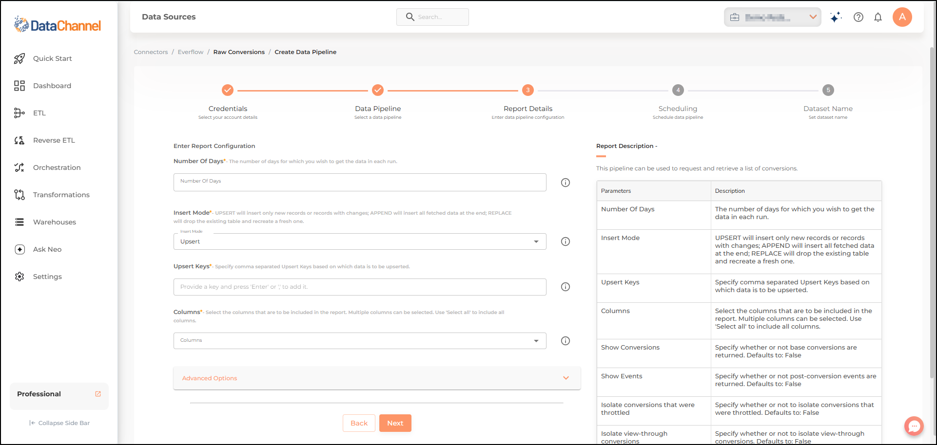 everflow raw conversions config