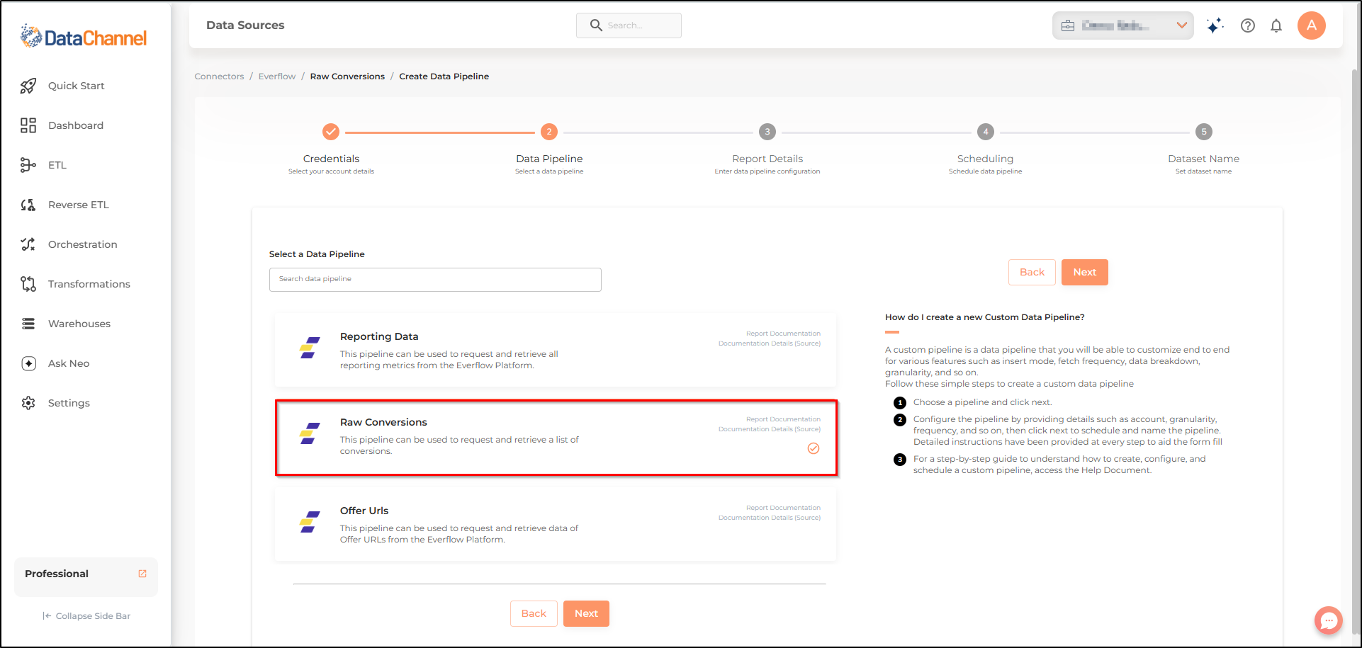 everflow raw conversions list