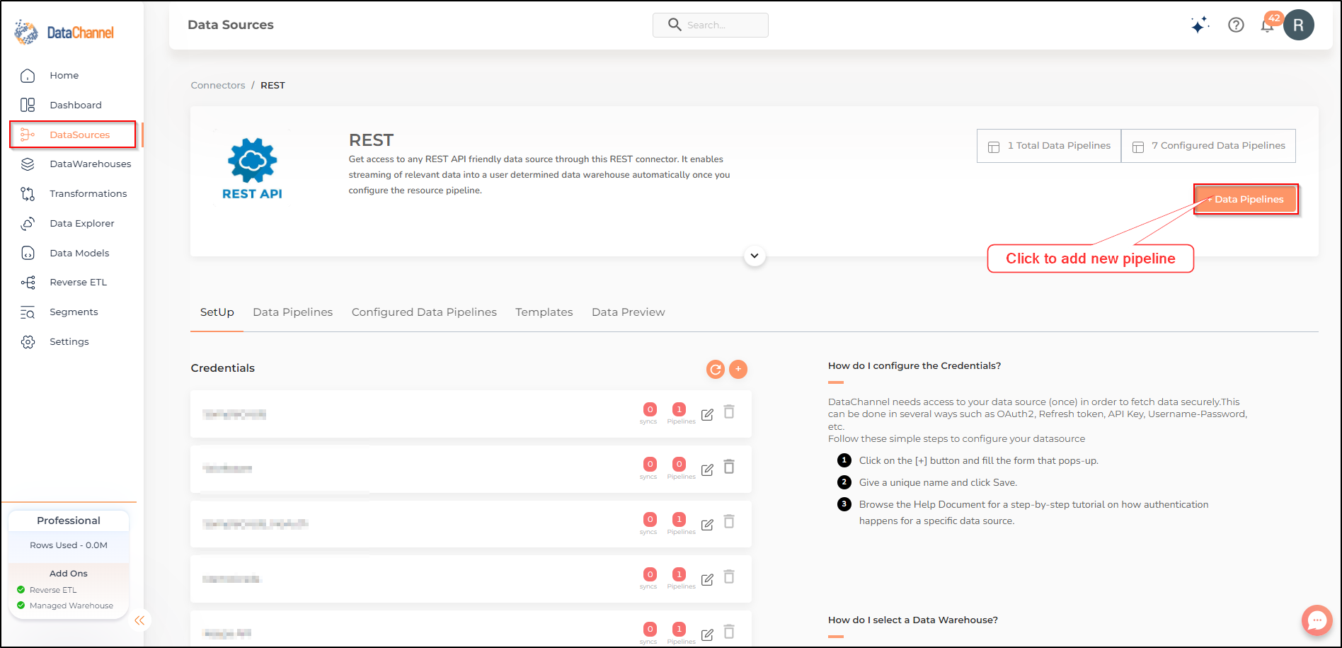 rest data source detail